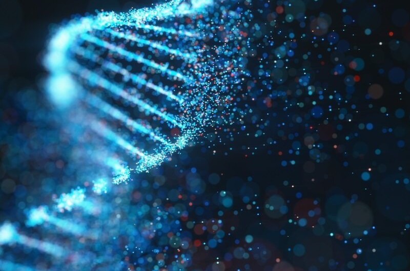 Mitochondrial DNA mutations