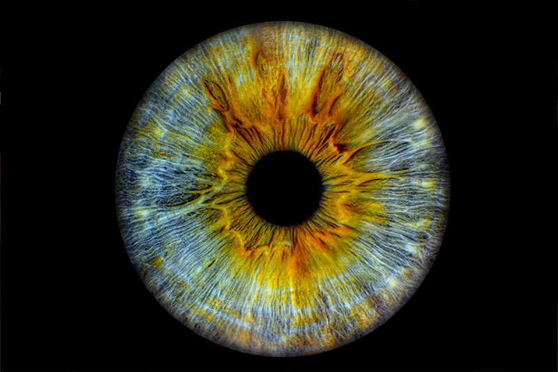 Close up photo of an eye