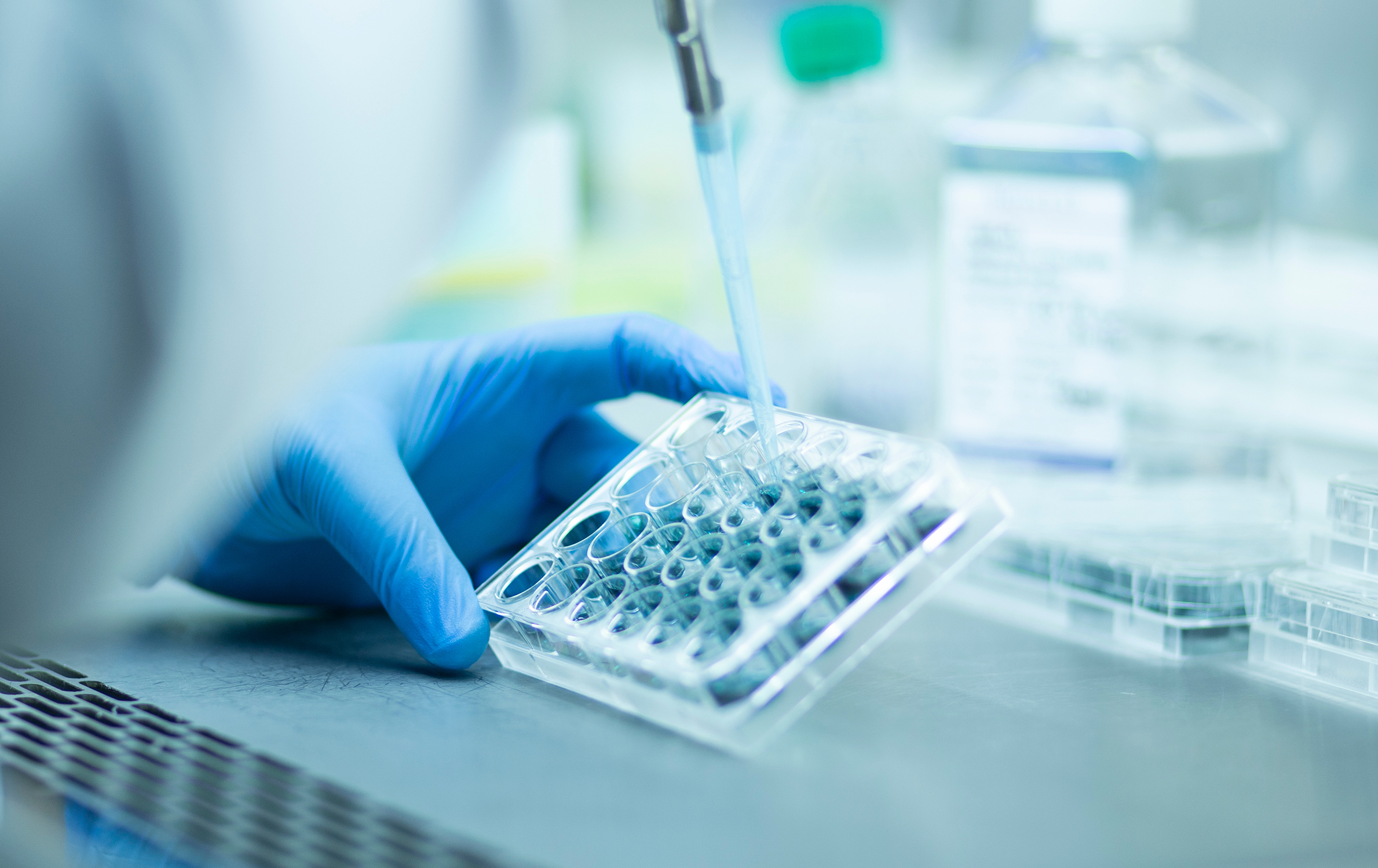 Culturing cells in a laboratory